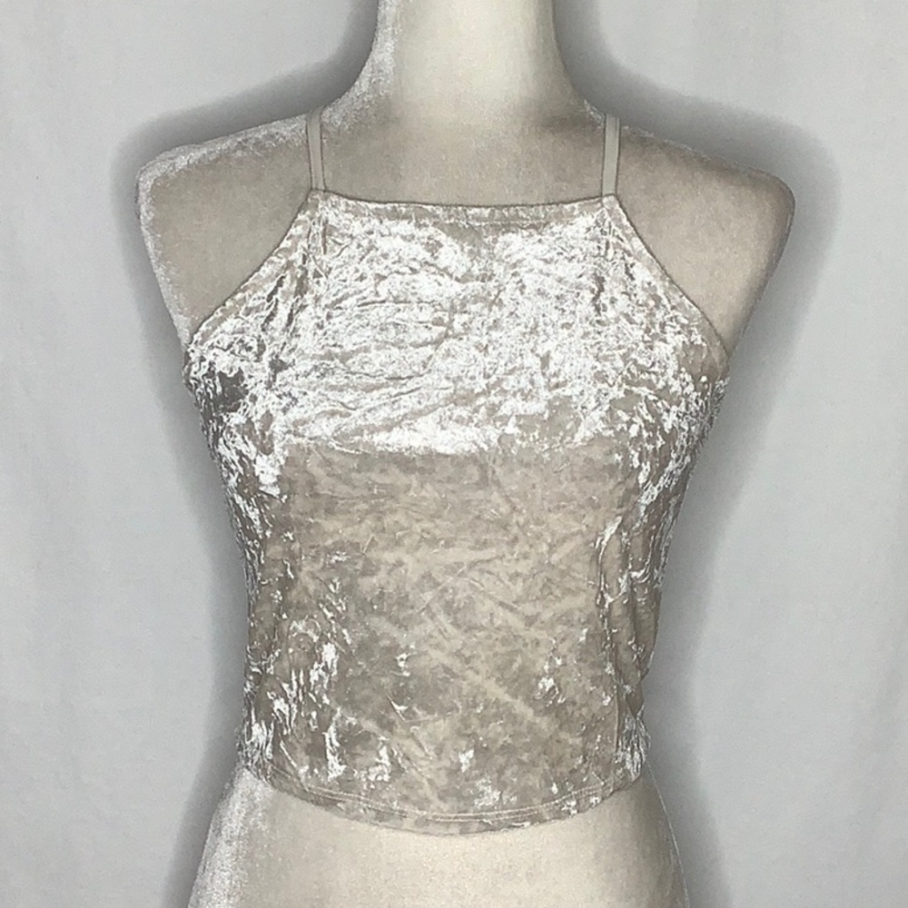 Elegant Cream Crop Top
